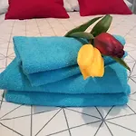 Hola Legionow Apartament *